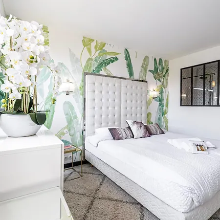 -clr- Charming 3-bedroom In The Heart Of Daire Cannes